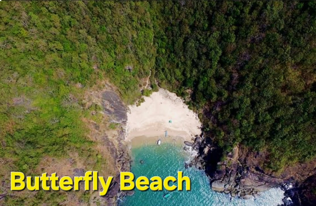 7 Hidden Budget-Friendly Beaches in India That Feel Like Private Paradise (And Cost Less Than ?1500= Per Day!) ?