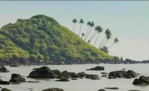 Tiger Beach Goa 1 300x184