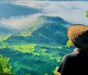 Philipines 300x258